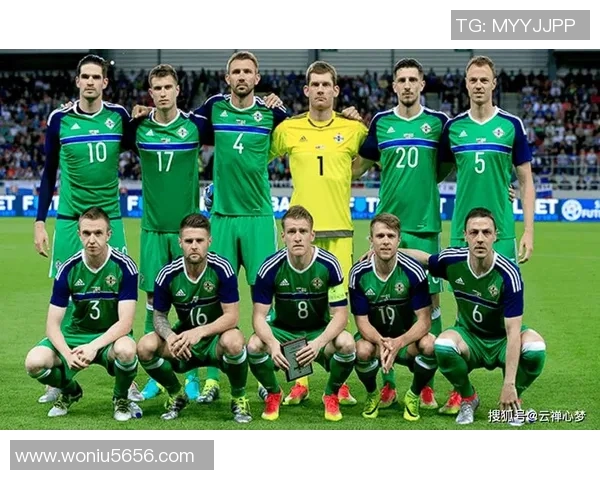 爱尔兰与北爱尔兰激战正酣比分揭晓精彩瞬间回顾