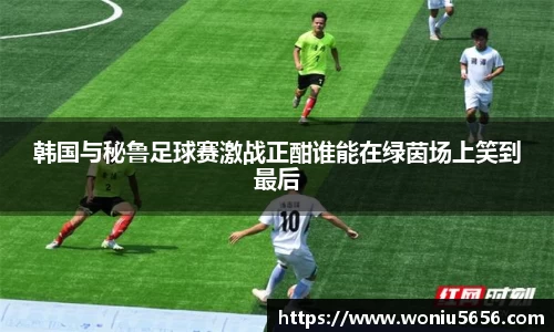 韩国与秘鲁足球赛激战正酣谁能在绿茵场上笑到最后